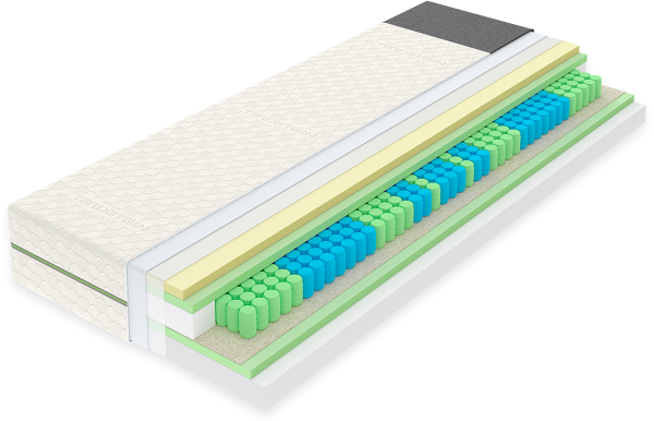 MSA_Synergy_Visco_2ii
